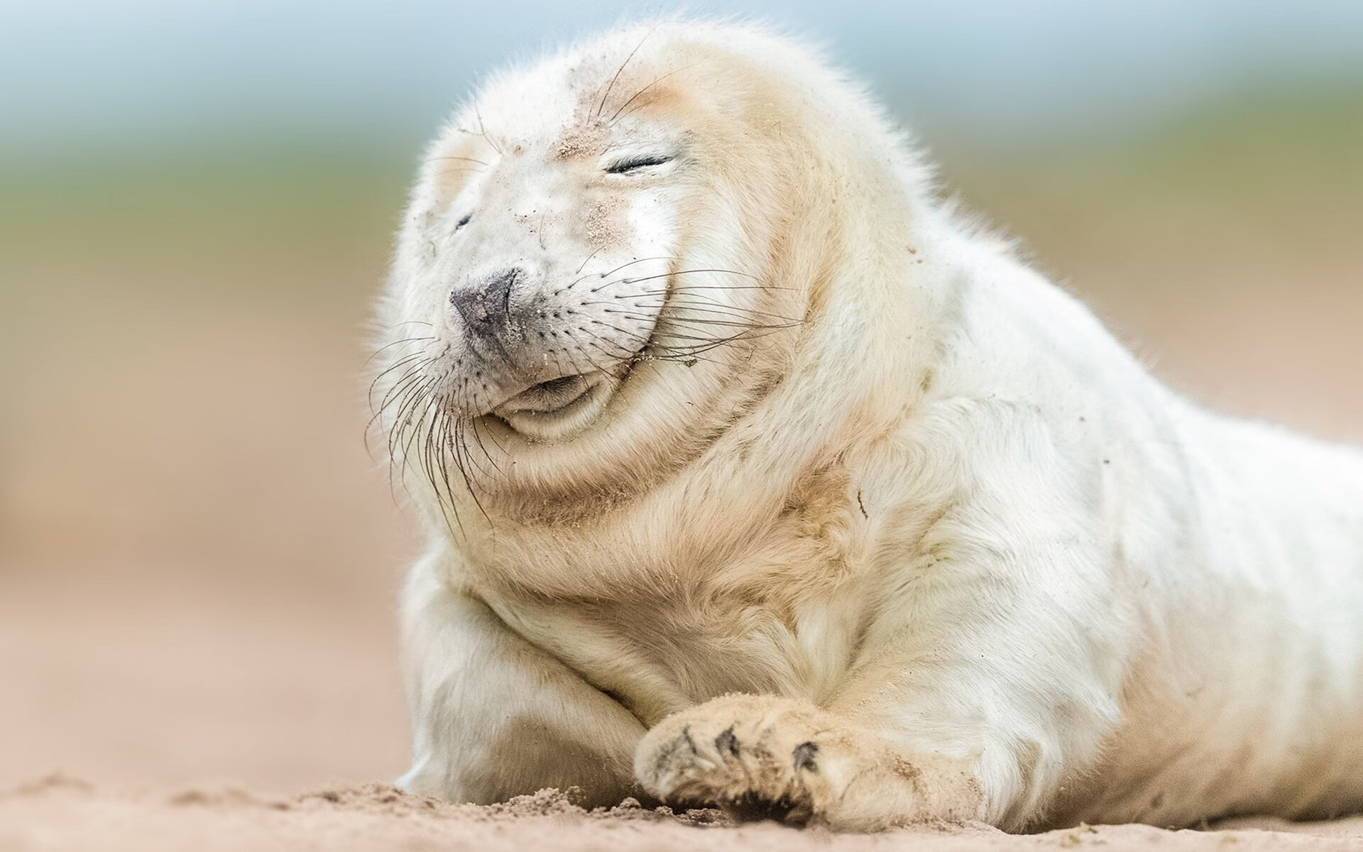 开云APP-谁是真正的比赛掌控者？那个男人用一脚点球告诉你答案